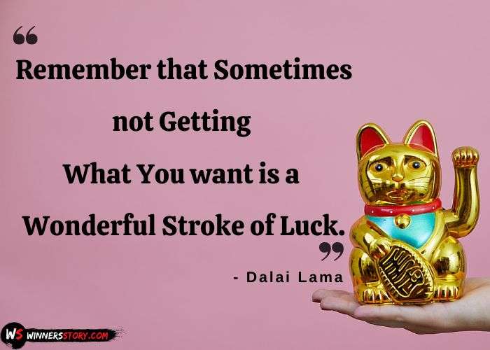 37-dalai lama quotes success